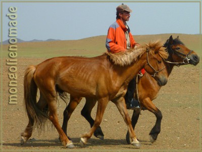 Photo de profil de mongolienomade