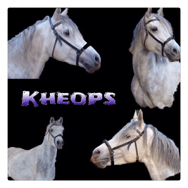Photo de profil de kheops89
