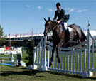 Obstacle CSO Barrire
