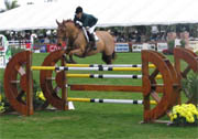 Obstacle CSO Oxer droit