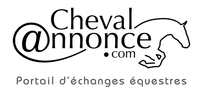 Chevaux pie à vendre | ChevalAnnonce.com