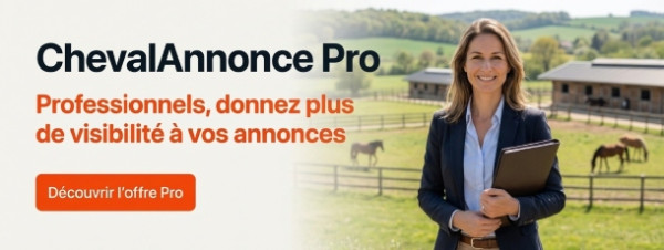 chevalannonce pro immobilier