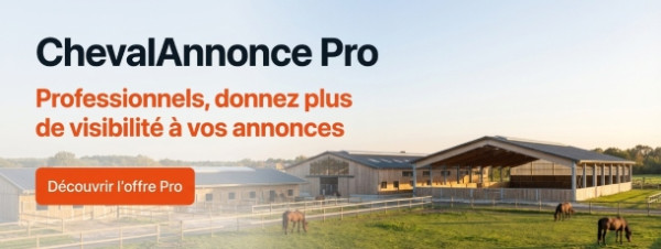 ChevalAnnonce pro pensions