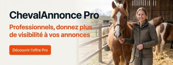 chevalannonce pro poney