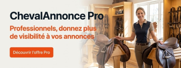 chevalannonce pro selles