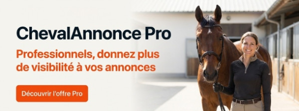 ChevalAnnonce Pro