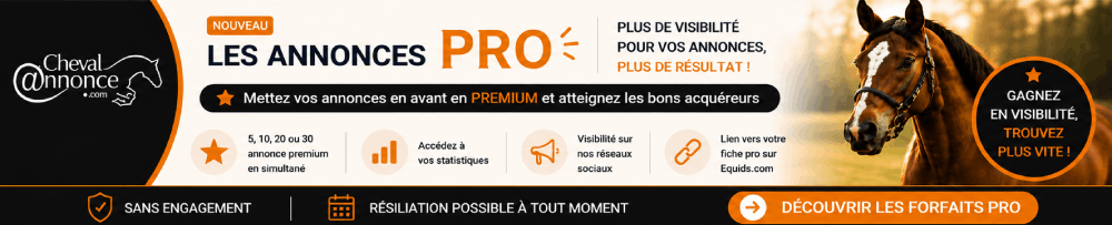 Annonce partenaire