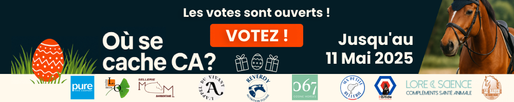 Annonce partenaire