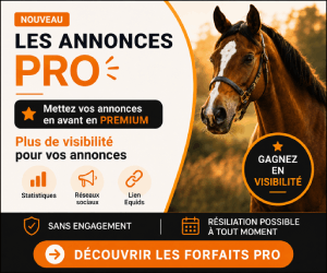 Annonce partenaire