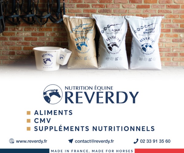 Annonce partenaire