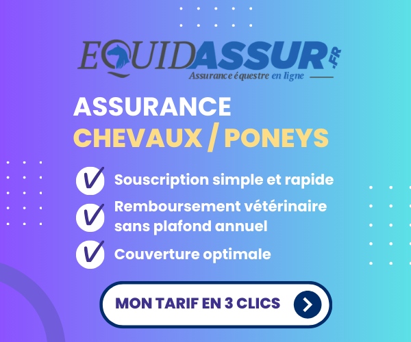 Annonce partenaire