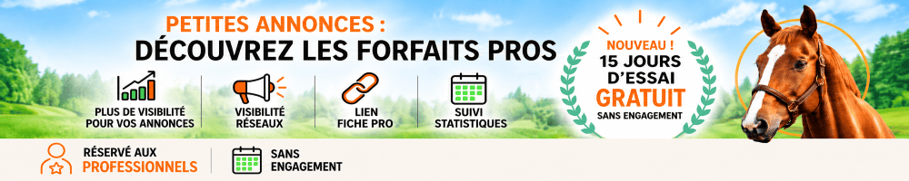 Annonce partenaire