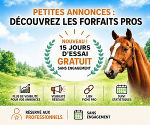 Annonce partenaire