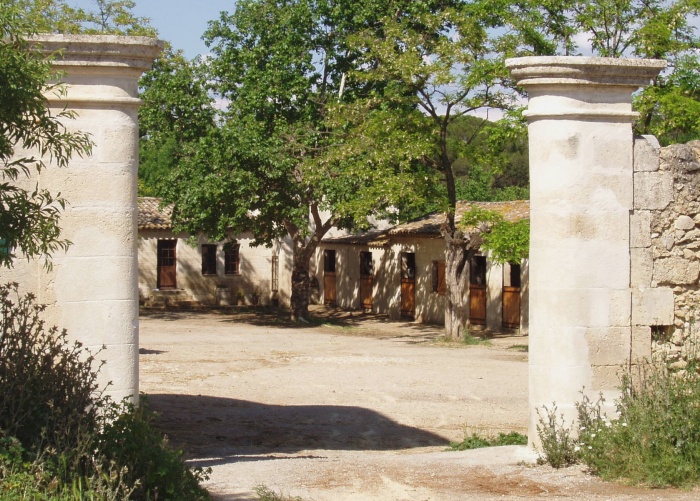 Pension en box dans magnifique domaine