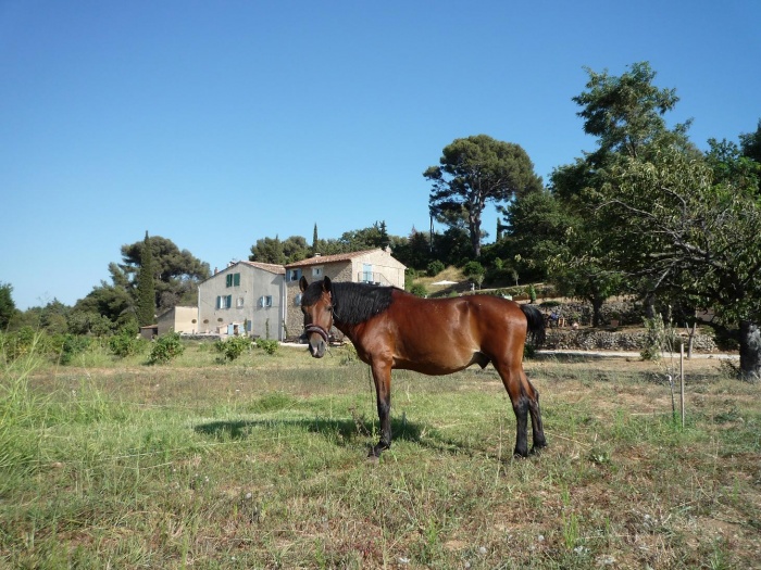 Pension de propritaires