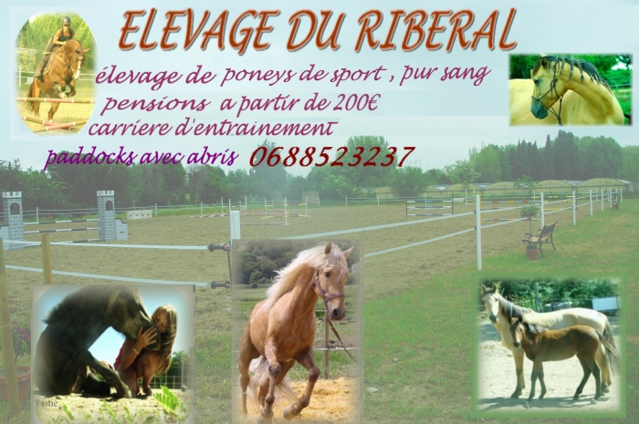 Elevage du riberal