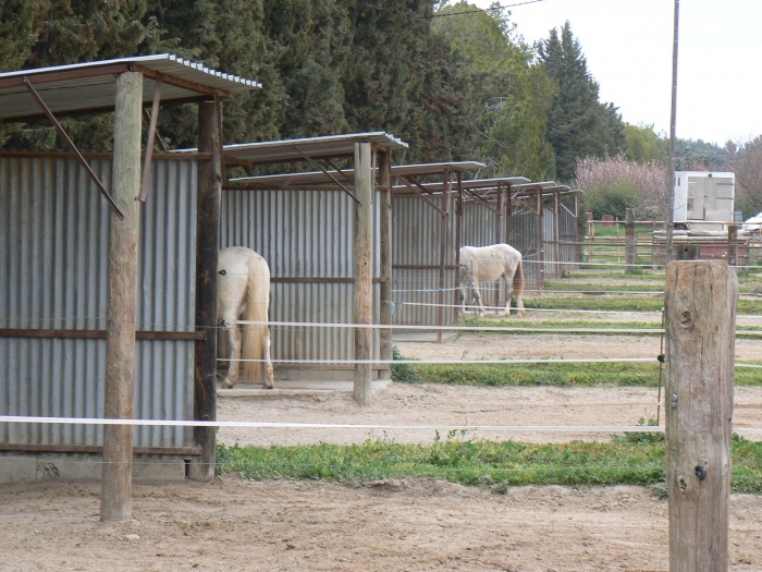 Ferme questre