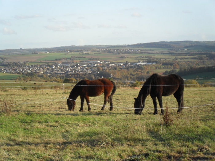 curie des monts