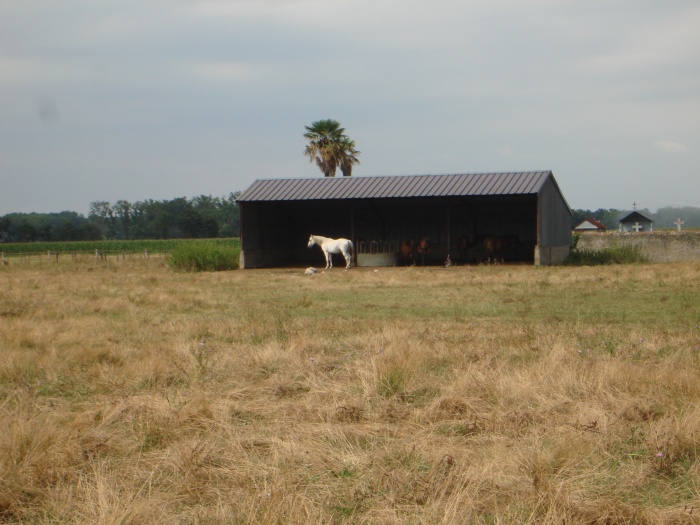 Pension de propritaires