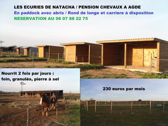 Pension de propritaires