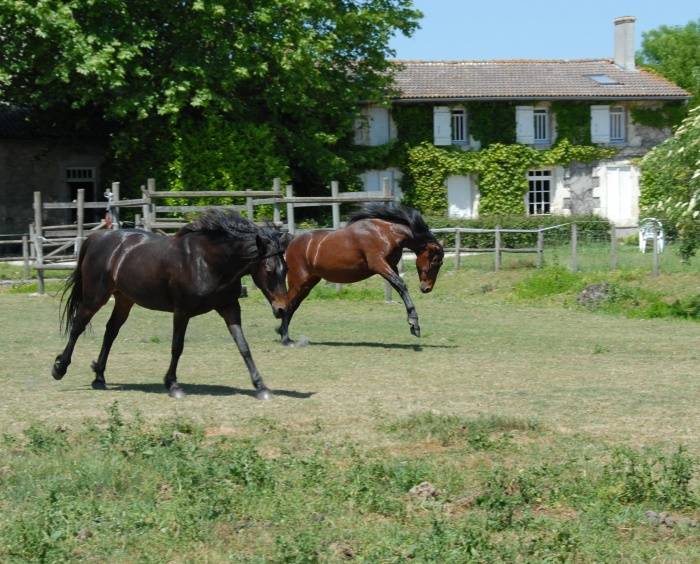 Ferme questre