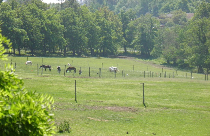 Centre questre