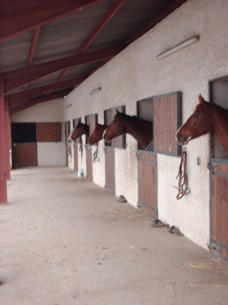 Pension de propritaires