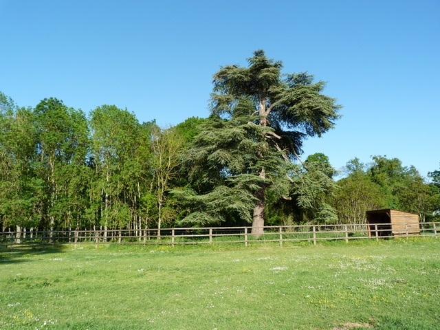 Haras de mignaloux - ecurie de propritaires - ce