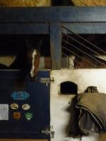 Pension de propritaires