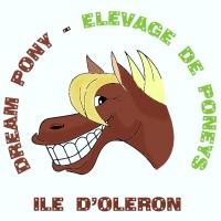 Ferme equestre dream pony