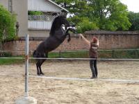Particulier