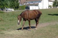 Particulier