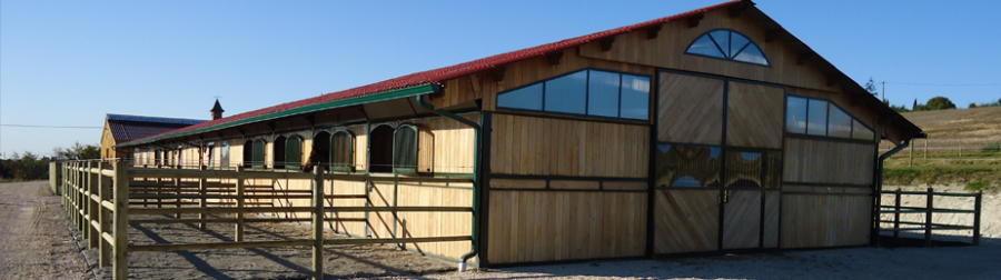 OSTEOPATHIE EQUINE OCCITANE AU HARAS DE LA LOUISE
