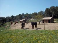 Pension de propritaires