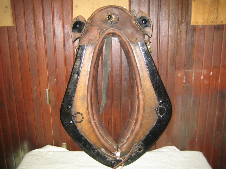 COLLIER CHEVAL