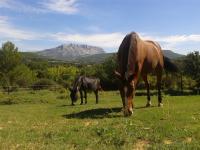 Pension de propritaires