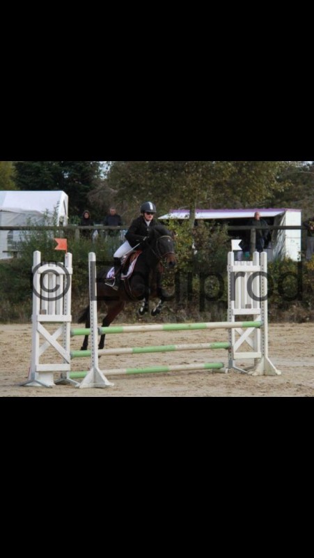 Capot De Cheval Bridleway – Taille Poney – Noir – Neuf Avec Défaut Mineur (BN) – Fabriqué UK