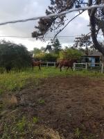 Pension de propritaires