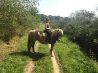 Particulier