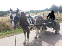Charette Anglaise XIXème CHABAUD à THIERS - Calèche Hippomobile Fiacre