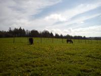 Ferme questre