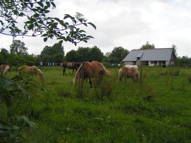 Pension de propritaires