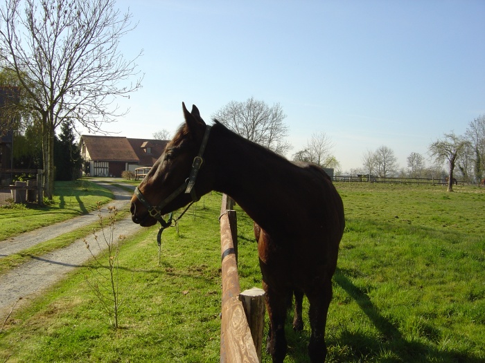 Particulier