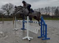 Vente de cheval : Talinka JVA