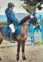 Vente de poney