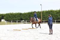 Cavalier/enseignant