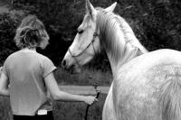 Vente de cheval : Mila