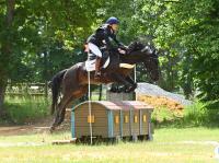 Vente de cheval : Himalaya de B?nville