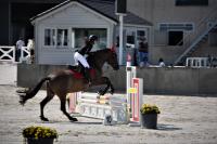 Vente de cheval : Taranto de la Luz