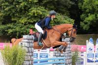 Vente de cheval : ITS